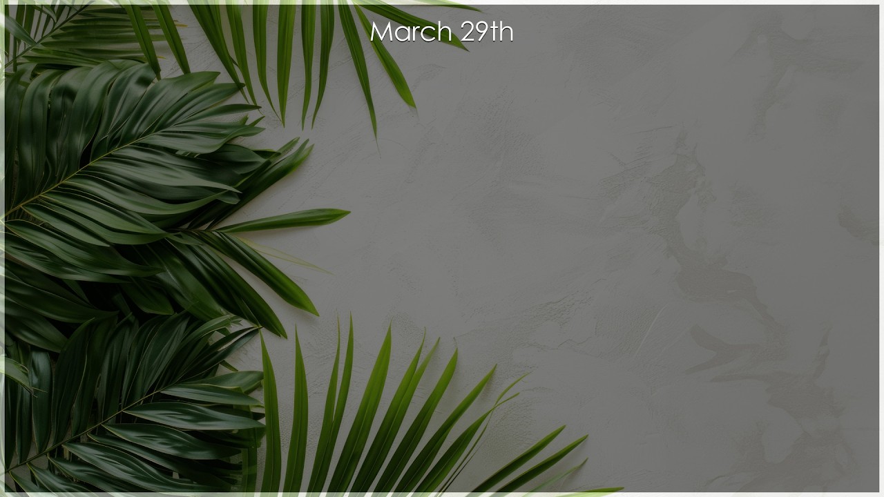 Palm Sunday — The Wrong King